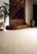Area Rugs